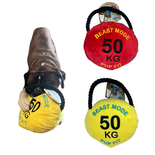 Dog toy pupfit kettle - kettle, bell